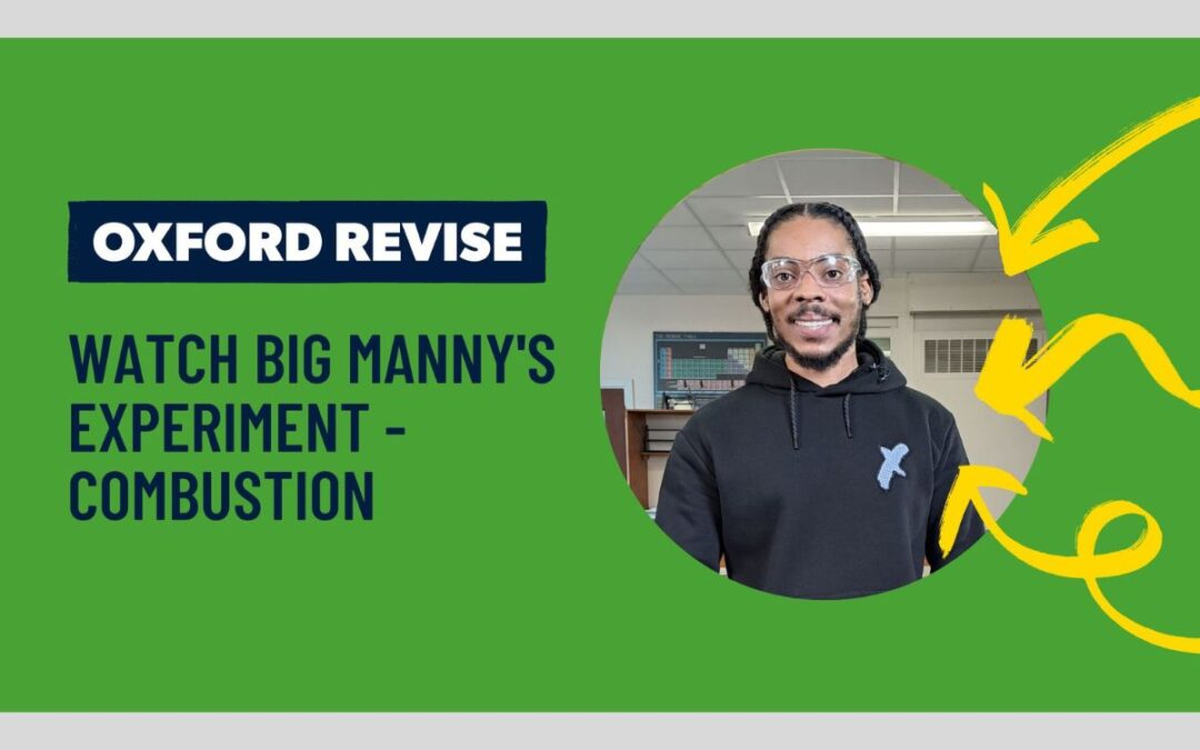 Big Manny Science Videos: Combustion