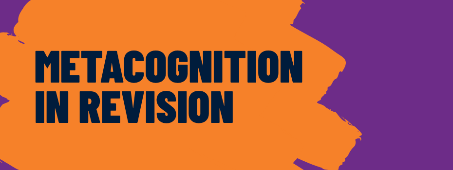 Metacognition in revision